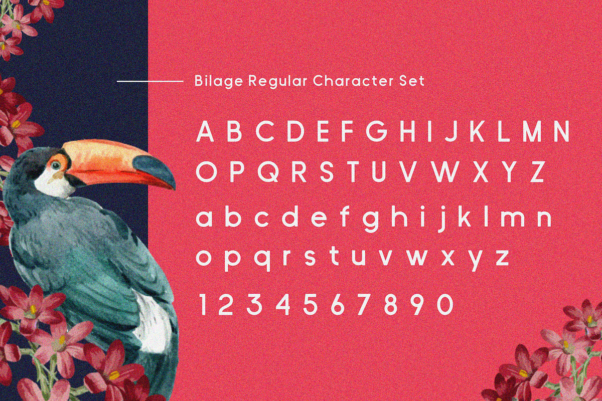 Bilage preview 6