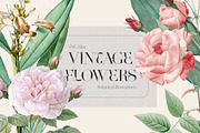 VINTAGE FLOWERS Watercolor Png Set, an Object Graphic by Oksana Trygub (Thumbnail 1 of 8)