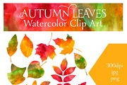 Watercolor Autumn Leaves, an Illustration by MyNatureGraphics (Thumbnail 1 of 2)