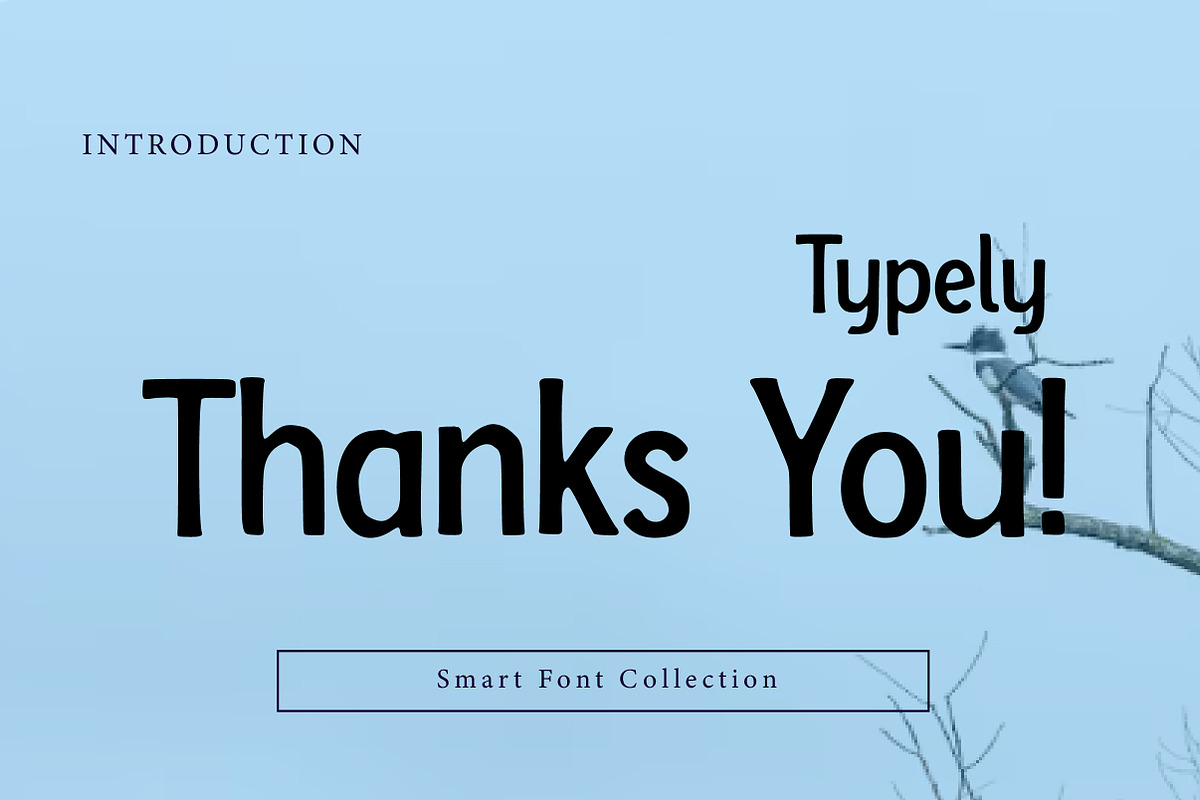 Typely, a Sans Serif Font by Wow Magic (Photo 3 of 3)
