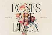 Sherlock Serif Family (126 Fonts), a Serif Font by Mahesans Co (Thumbnail 11 of 25)