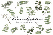 Watercolor Eucalyptus PNG Bunlde, an Illustration by Digi_Design_World (Thumbnail 2 of 4)