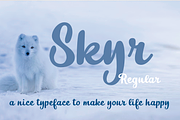 Skyr Basic, a Script Font by Eurotypo (Thumbnail 1 of 3)