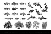 Mediterranean Sea Vector Clipart Set, an Animal Illustration by Pingebat (Thumbnail 3 of 15)