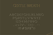 Gentle Breath - Serif Font + Vectors, a Serif Font by The Forge Type Co (Thumbnail 6 of 10)