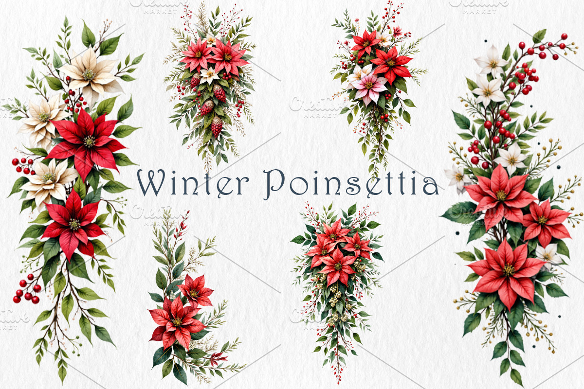 Poinsettia Clipart Bundle, a Seasonal Illustration by GalaDesign03 (Photo 4 of 9)