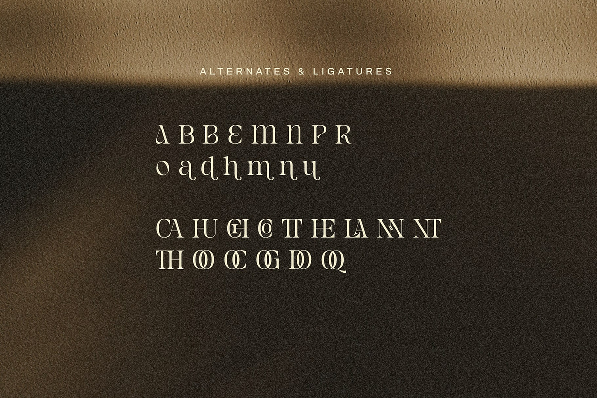 Rain Amoury - Elegant Font, a Serif Font by Salamahtype (Photo 7 of 7)