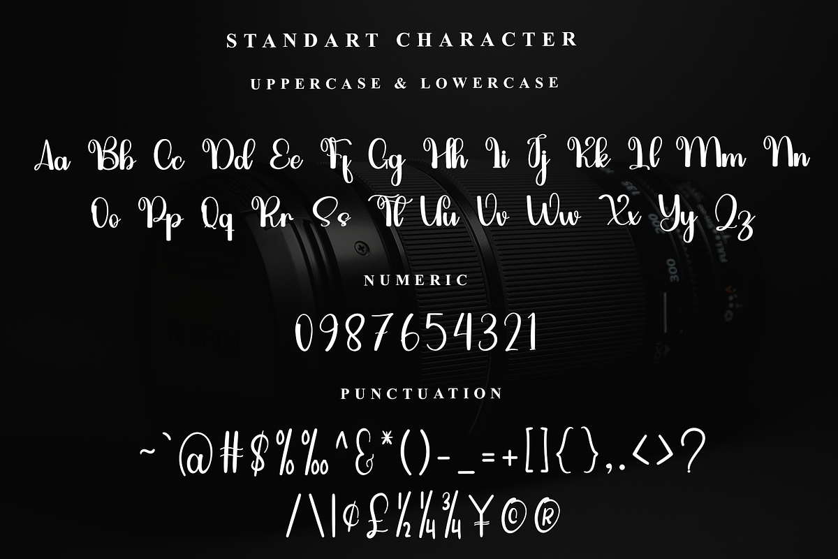 Bride, a Handwritten Font by InermediaSTUDIO (Photo 4 of 7)