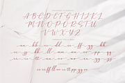 Halegio | Modern Calligraphy Font, a Script Font by Ariya Works (Thumbnail 10 of 11)