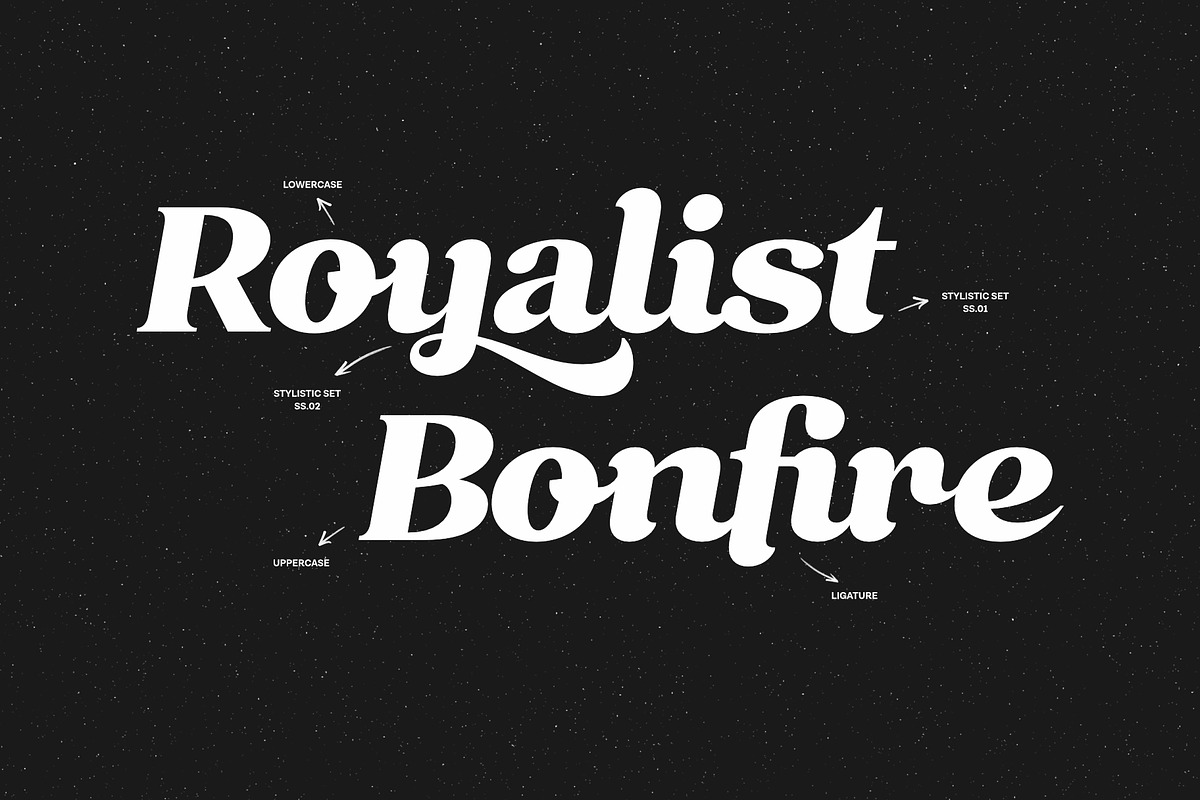 Rindlex - Retro Bold Display Script, a Script Font by Hindia Studio (Photo 3 of 10)