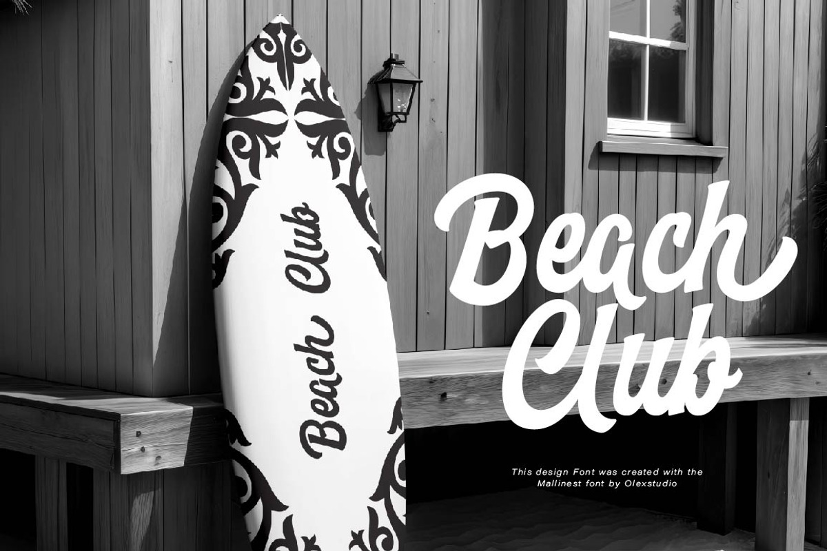 Mallinest - Modern Script, a Script Font by Olexstudio (Photo 7 of 8)
