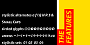 Lecturia, a Sans Serif Font by ingoFonts (Thumbnail 9 of 10)