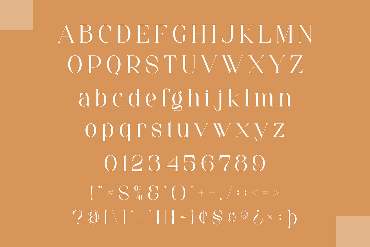 Daeling - Modern Serif Font, a Serif Font by Aqeel_Art (Photo 11 of 12)