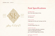 Adorn Collection, a Sans Serif Font by Laura Worthington (Thumbnail 44 of 62)