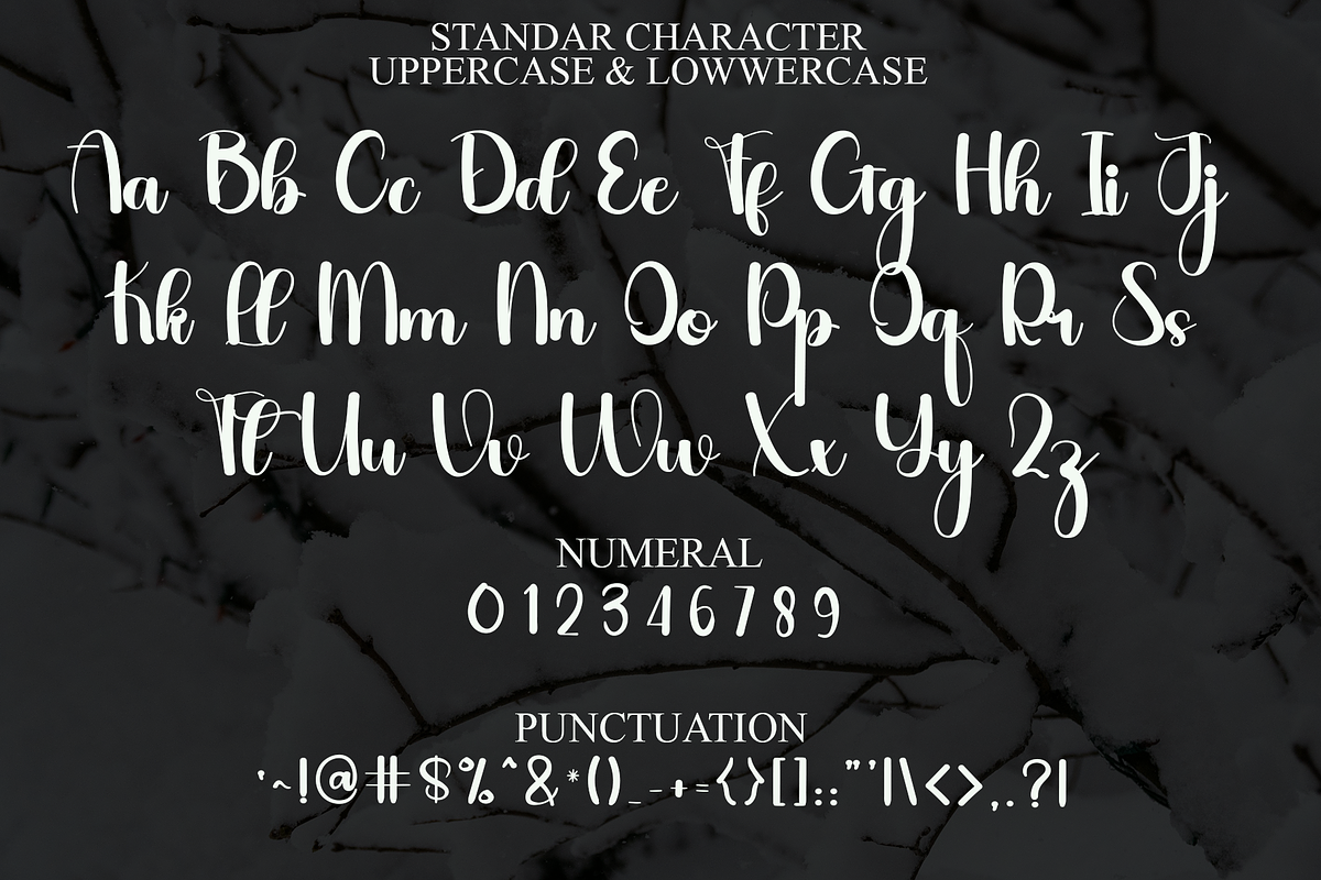 Christian, a Handwritten Font by FreshTypeINK (Photo 3 of 8)
