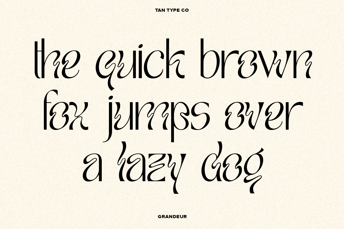 TAN - GRANDEUR, a Sans Serif Font by TanType (Photo 24 of 25)