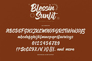 Blessin Sunlit – Clean Brush, a Handwritten Font by Gassstype (Thumbnail 6 of 8)