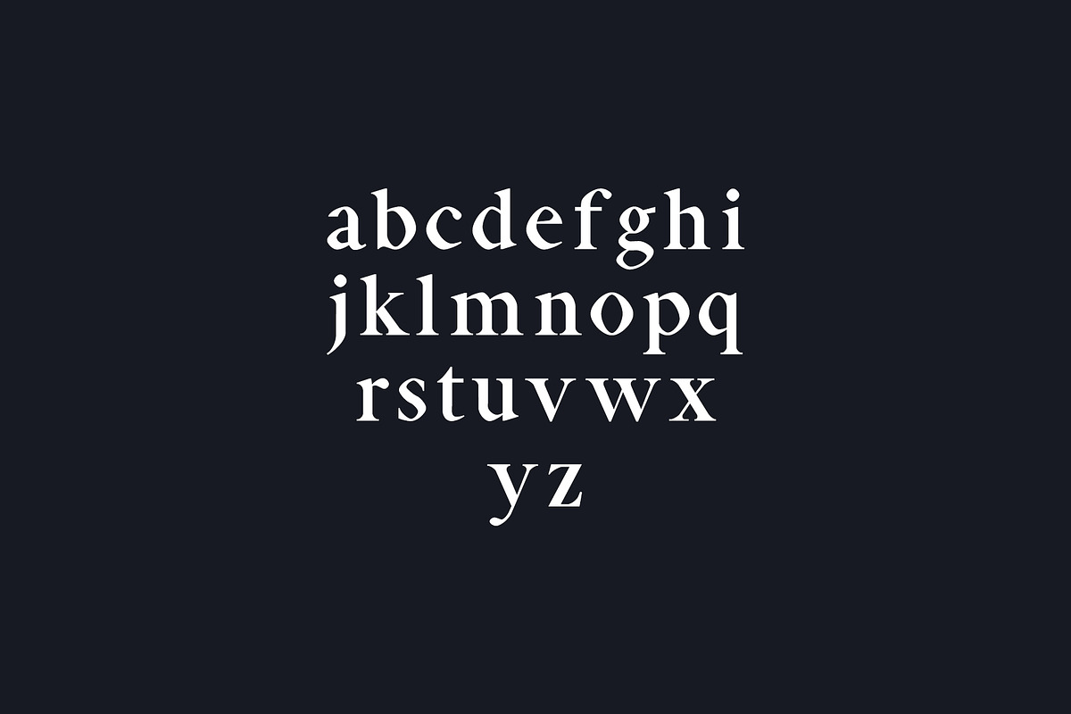 Aara Serif Font Family Pack preview 3