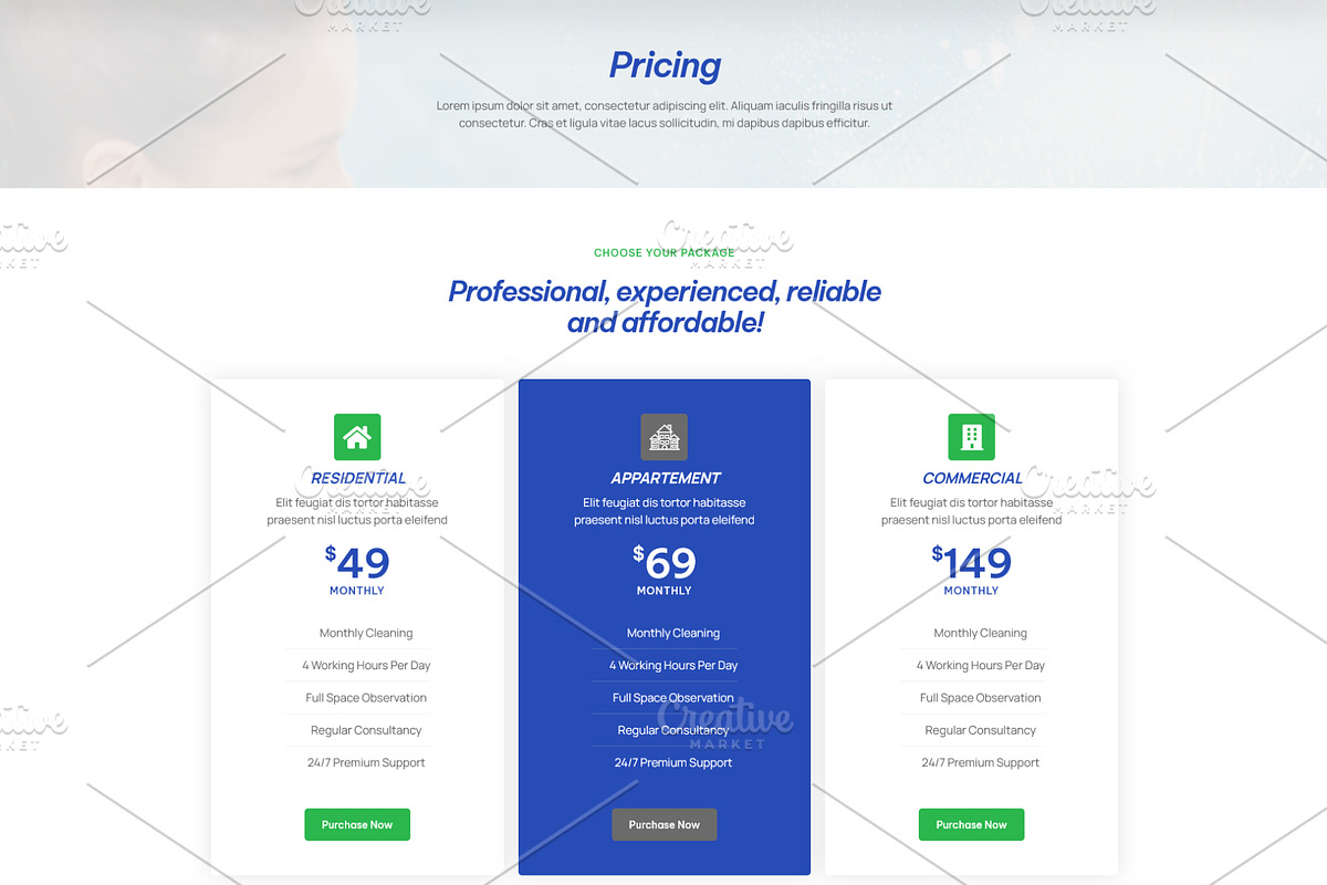 Limousine & Window Cleaning Service, a WordPress Template by HasnainDEV (Photo 4 of 6)