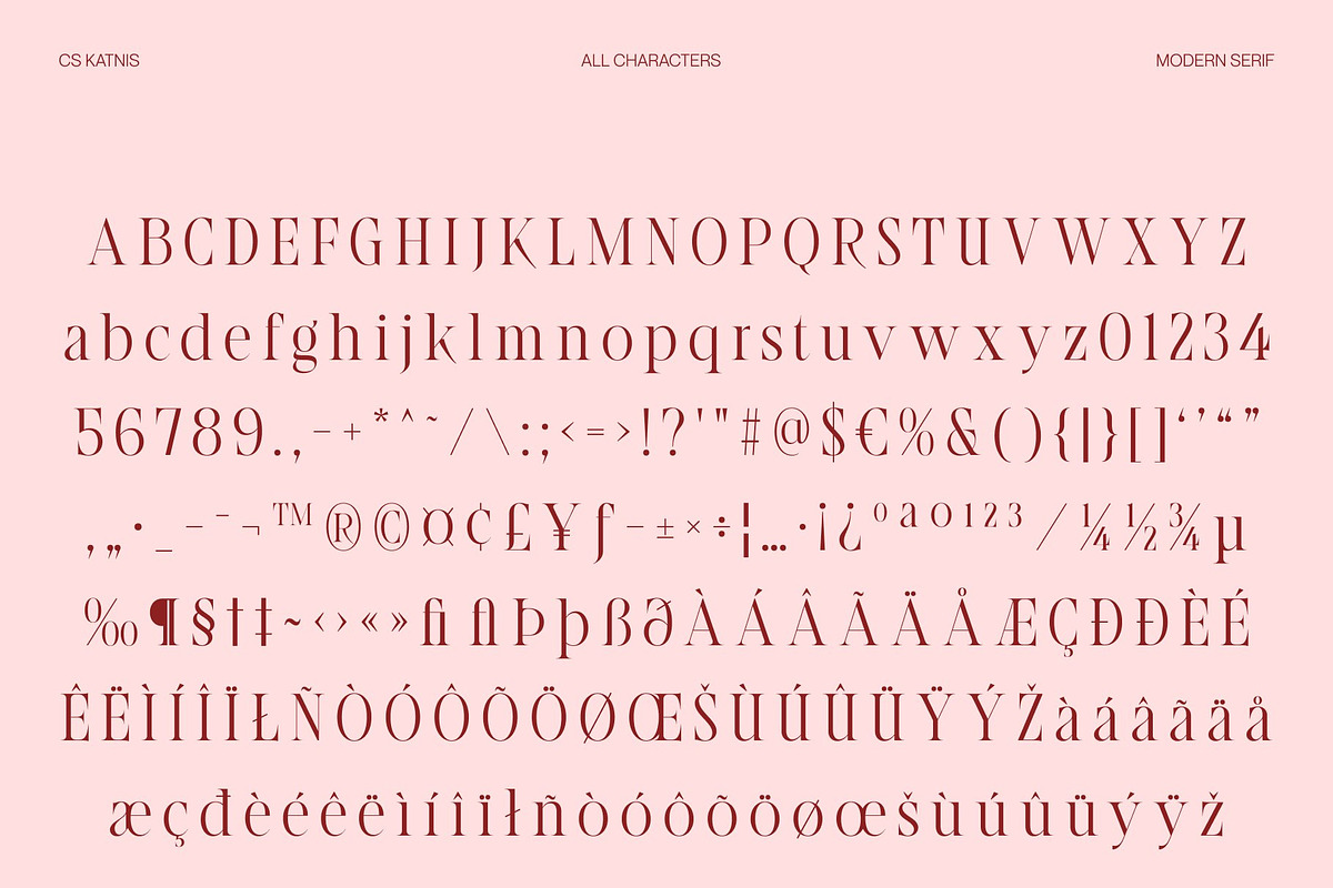 CS Katnis – Modern Serif Font, a Serif Font by Craft Supply Co. (Photo 8 of 8)