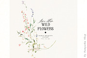 Line-thin watercolor wildflowers, a Decorative Illustration by Pamyatka Shop (Thumbnail 10 of 16)