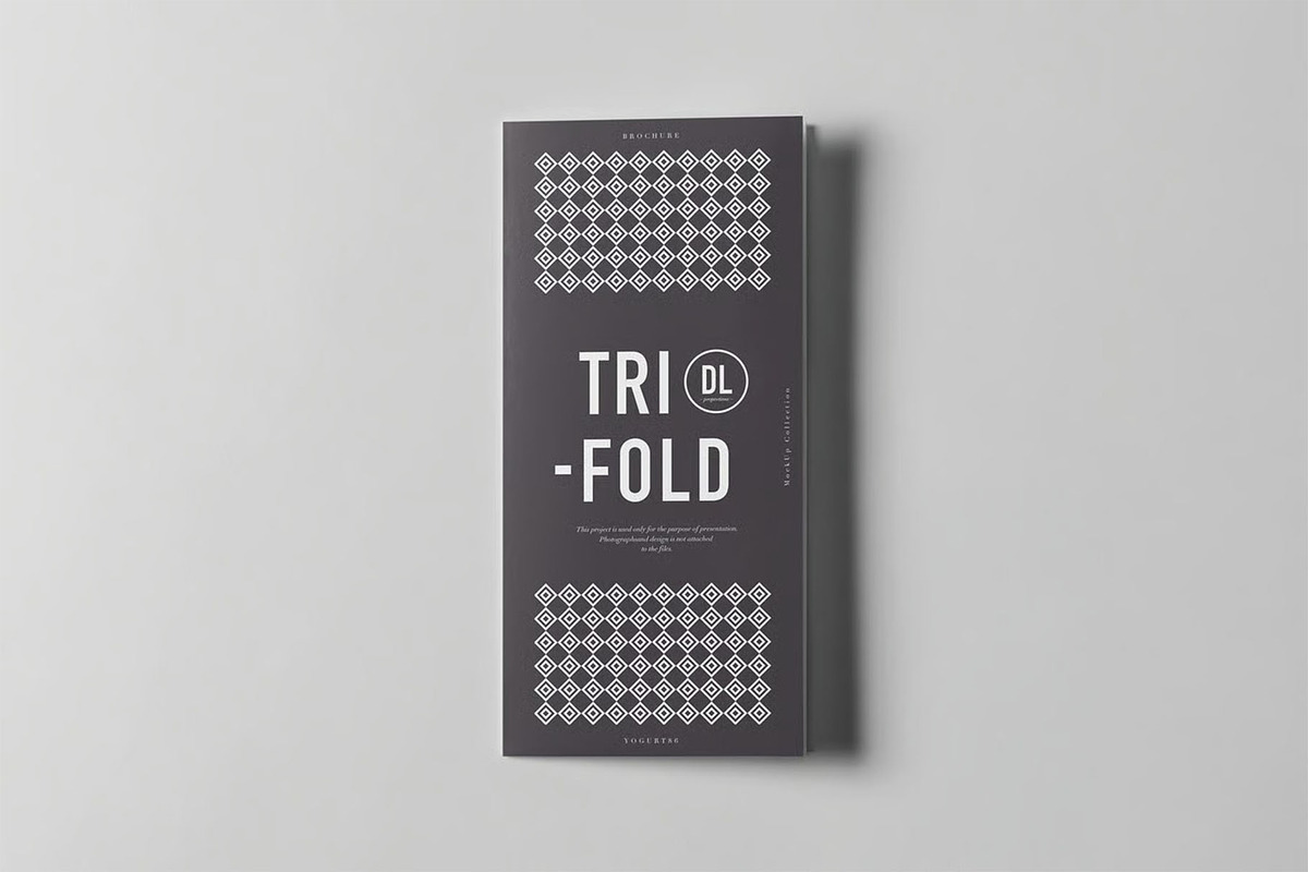 Tri-Fold DL Brochure Mock-up, an Advertising Mockup by zippypixelstudio (Photo 3 of 11)