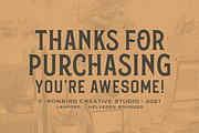 Lanford - Display Typeface, a Sans Serif Font by IronbirdCreative (Thumbnail 8 of 8)