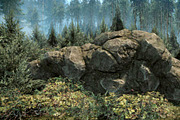 [Next-Gen] Forest Rock, an Environmental 3D Model by Game-Ready Studio (Thumbnail 1 of 5)