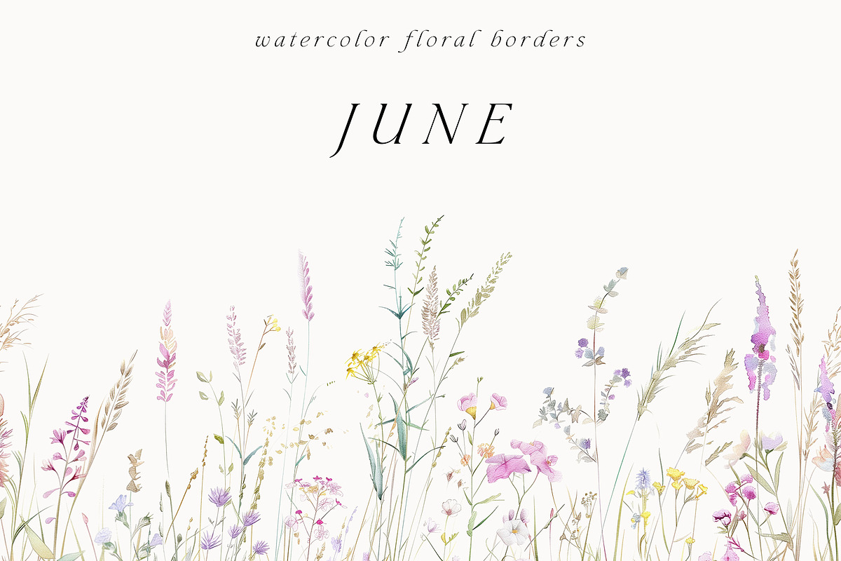Waterolor Floral Borders Bundle, a Decorative Illustration by Lana Elanor (Photo 53 of 97)
