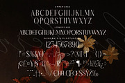 Hanchern Display Serif Font, a Serif Font by Storytype Studio (Thumbnail 13 of 15)