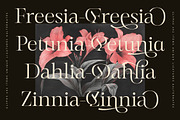 Mevara - Elegant Serif with Flourish, a Serif Font by Glyphofik x GudPap (Thumbnail 8 of 15)