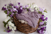 Newborn Basket Digital Backdrop, a Layer Style Add-On by Wild Honey Design Co. (Thumbnail 2 of 2)