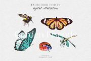 Watercolor Spring Garden Elements, a Seasonal Illustration by Pigment Café (Thumbnail 3 of 5)