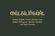 Trillium, a Blackletter Font by Bruised Goods (Thumbnail 12 of 12)