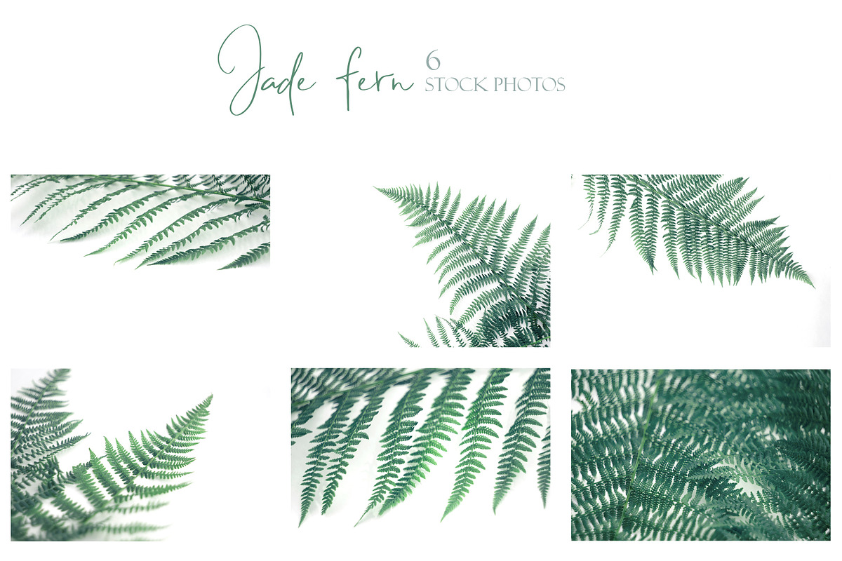 200 Mockups & Styled Photos Bundle, a Mockup by NataliArkushArt (Photo 21 of 37)