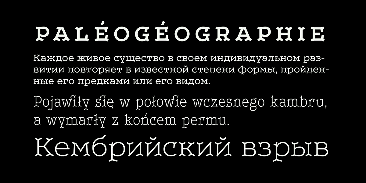 Leto Two, a Serif Font by Glen Jan (Photo 5 of 10)