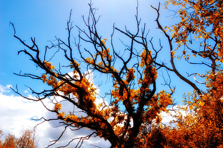 Beautiful autumn, a Photo by Peopleimages.com