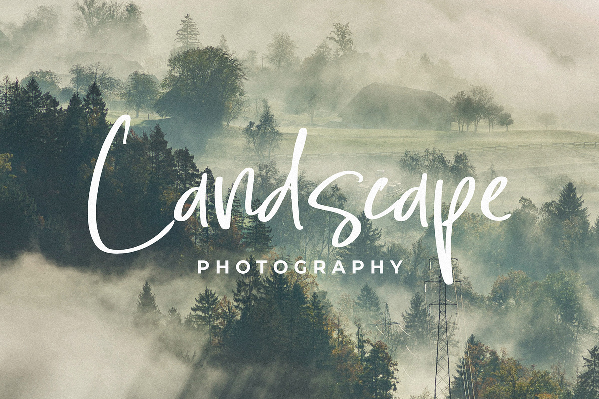 Sellaheby, a Script Font by Integritype Studio (Photo 4 of 15)