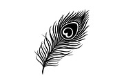Peacock Feather Silhouette Bundle, an Illustration by jahid234 (Thumbnail 6 of 31)