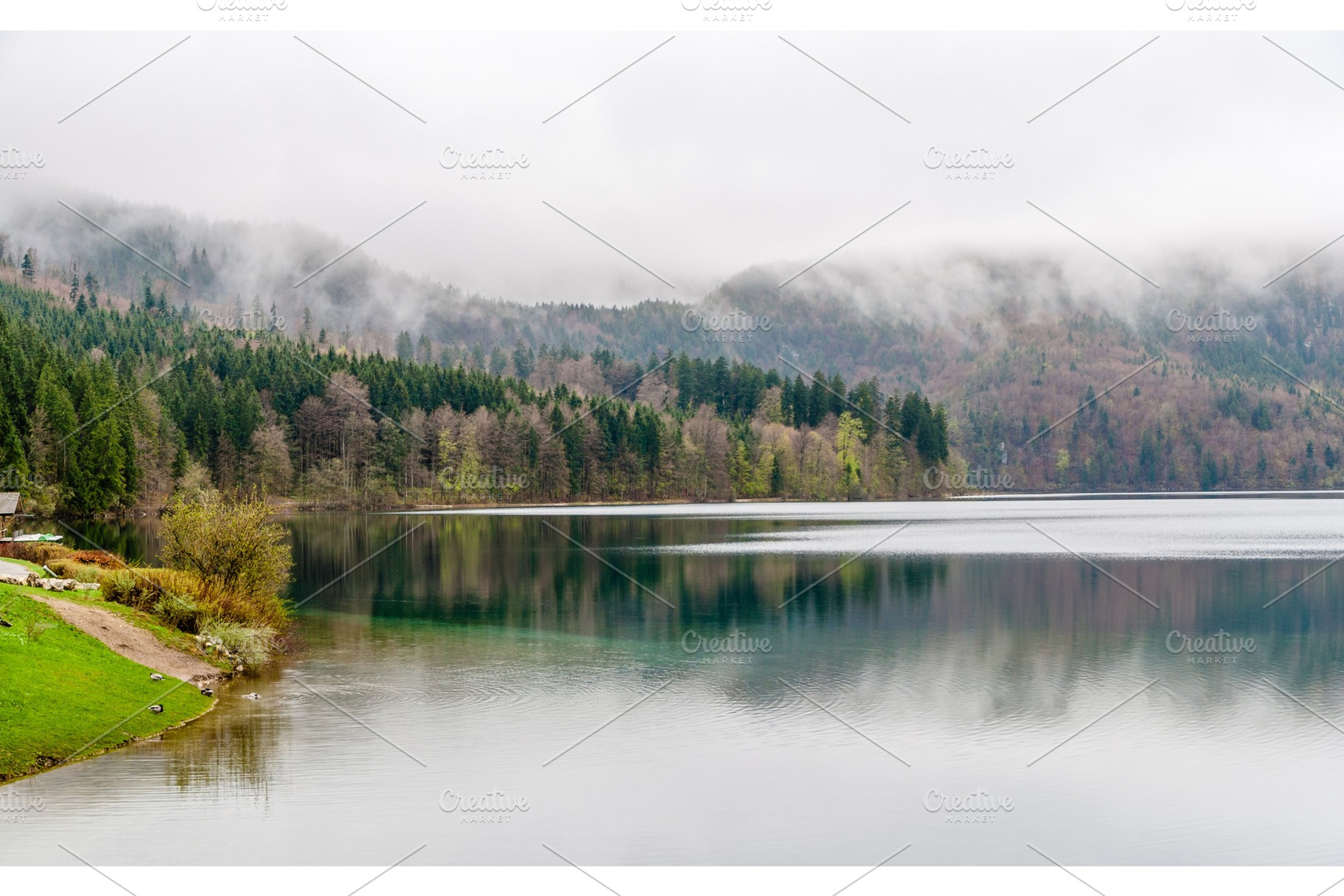 Alpsee lake in hohenschwangau bavaria germany featuring lake, germany, and, a Nature Photo by Leonid Andronov