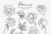 Peonies Line Art SVG, AI, EPS, PNG, a Decorative Illustration by InstaDesignPro (Thumbnail 4 of 12)