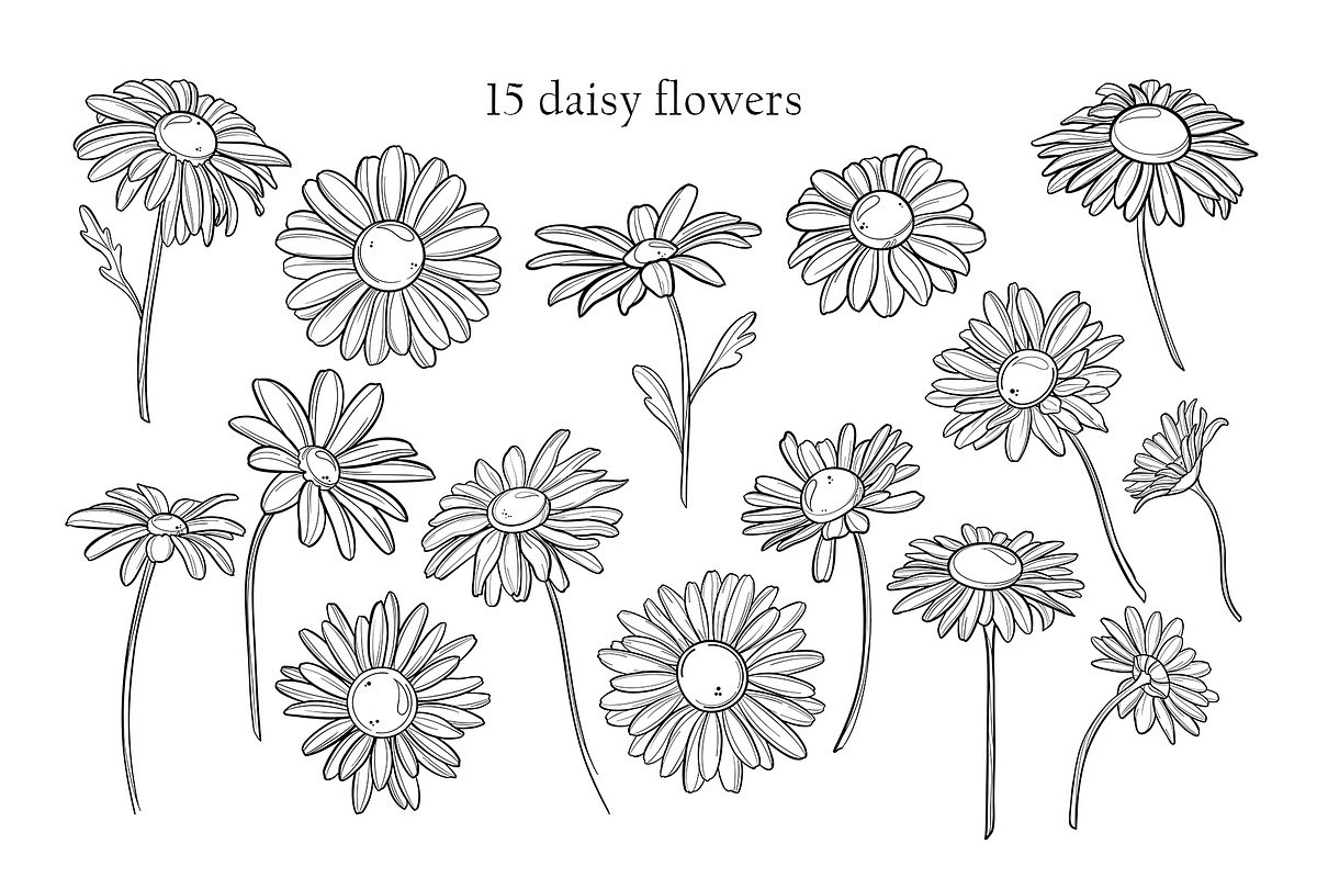 Daisy clipart flower SVG PNG EPS, a Decorative Illustration by DamriNa art (Photo 2 of 5)