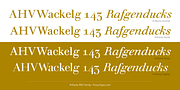 Prillwitz PRO, a Serif Font by preussTYPE (Thumbnail 6 of 9)