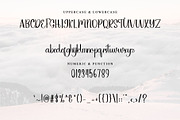 Snowflake, a Handwritten Font by InermediaSTUDIO (Thumbnail 6 of 7)