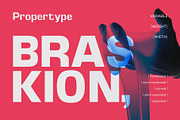 Braskion, a Sans Serif Font by Propertype (Thumbnail 1 of 15)