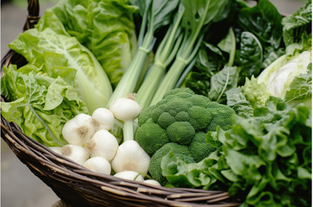 Organic Basket green vegetables, a Food & Drink Photo by Ylivdesign