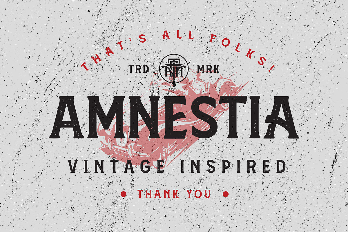 Amnestia Typeface with Extra, a Serif Font by Arterfak Project (Photo 16 of 16)
