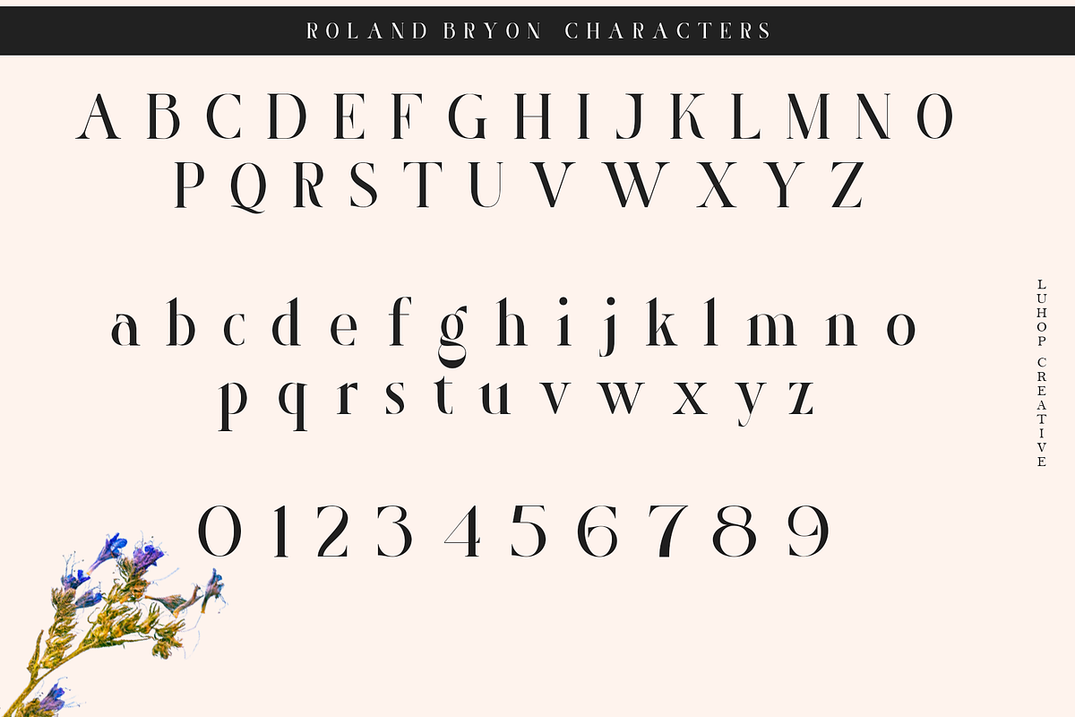 Roland Bryon Display, a Serif Font by LuhopCreative (Photo 16 of 18)