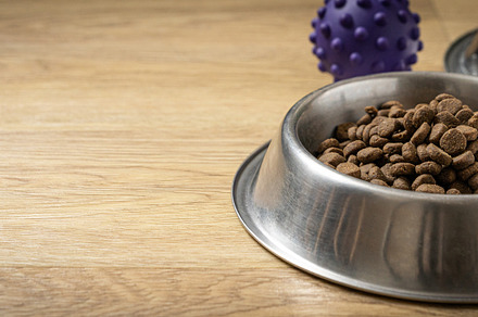 Pet food concept - dry pet food on bowl on wood background