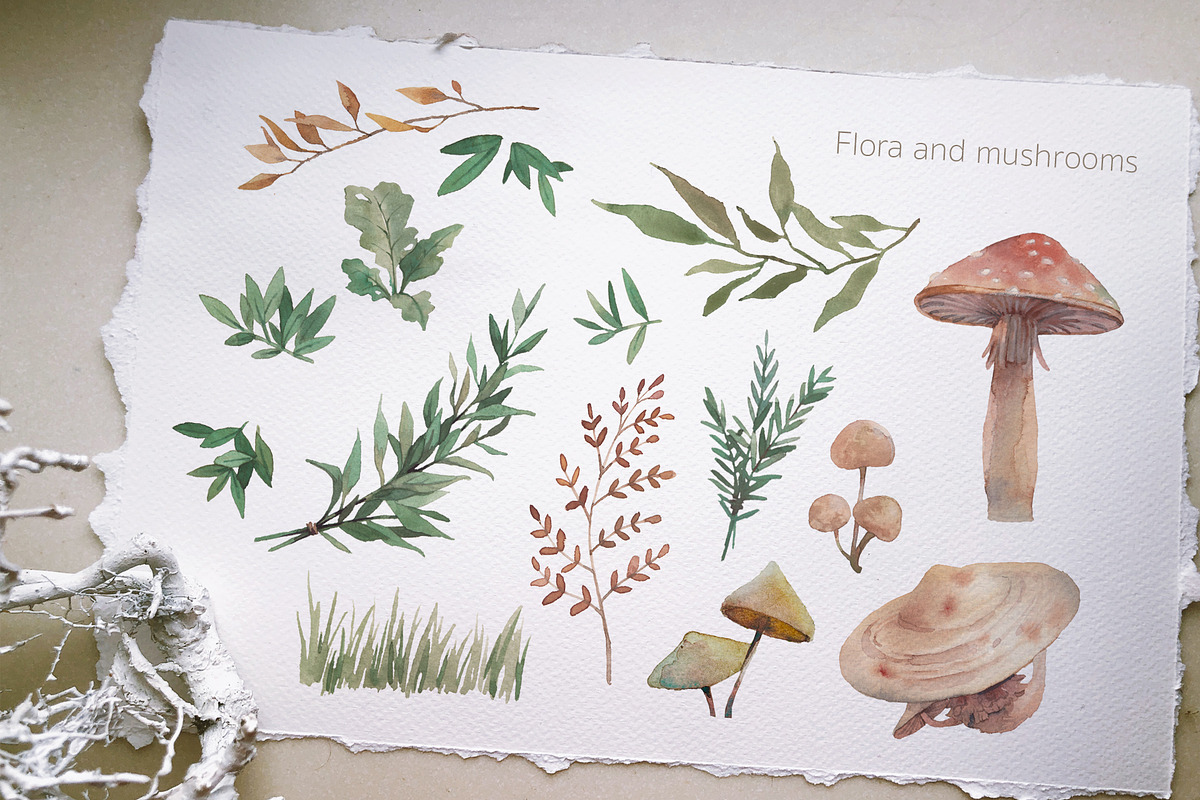 ENCHANTED, an Education Illustration by Eisfrei (Photo 5 of 13)